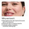 The INKEY List Ectoin Hydro-Barrier Serum, Advanced Dual-Action Serum, Boosts Hydration, Builds Stronger Skin Barrier, Lightweight Texture