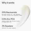 The INKEY List SuperSolutions Niacinamide 20% Serum, Helps with Healthy-Looking Skin Texture, Pores and Balancing Excess Oil, Skin Barrier Protection 1.01 fl oz